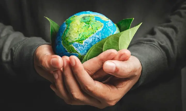 A Interdição da AREA BEACH