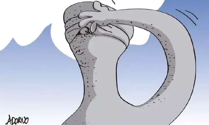 A Justiça Brasileira no Embate Lula x Bolsonaro