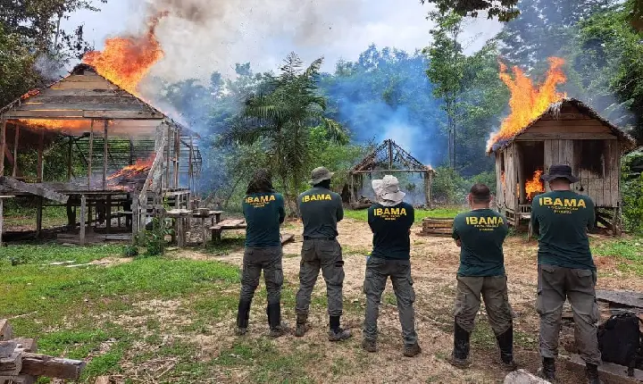 Bahia Sob Tensão: O Avanço das Invasões de Terra no extremo sul