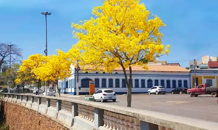 BAHIA TEM DUAS CIDADE ENTRE AS 5 MELHORES DO NORDESTE EM SERVIÇOS URBANOS E QUALIDADE DE VIDA