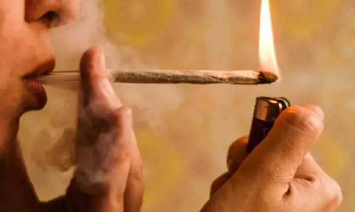 Baseado em números: 88 t de maconha suprem consumo mensal no país