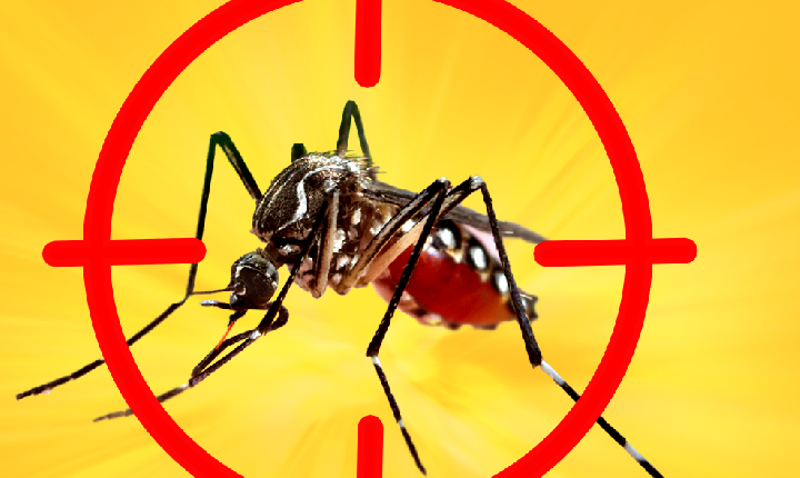 Brasil atinge 1.116 óbitos por dengue em 2024 e bate recorde de mortes pela doença