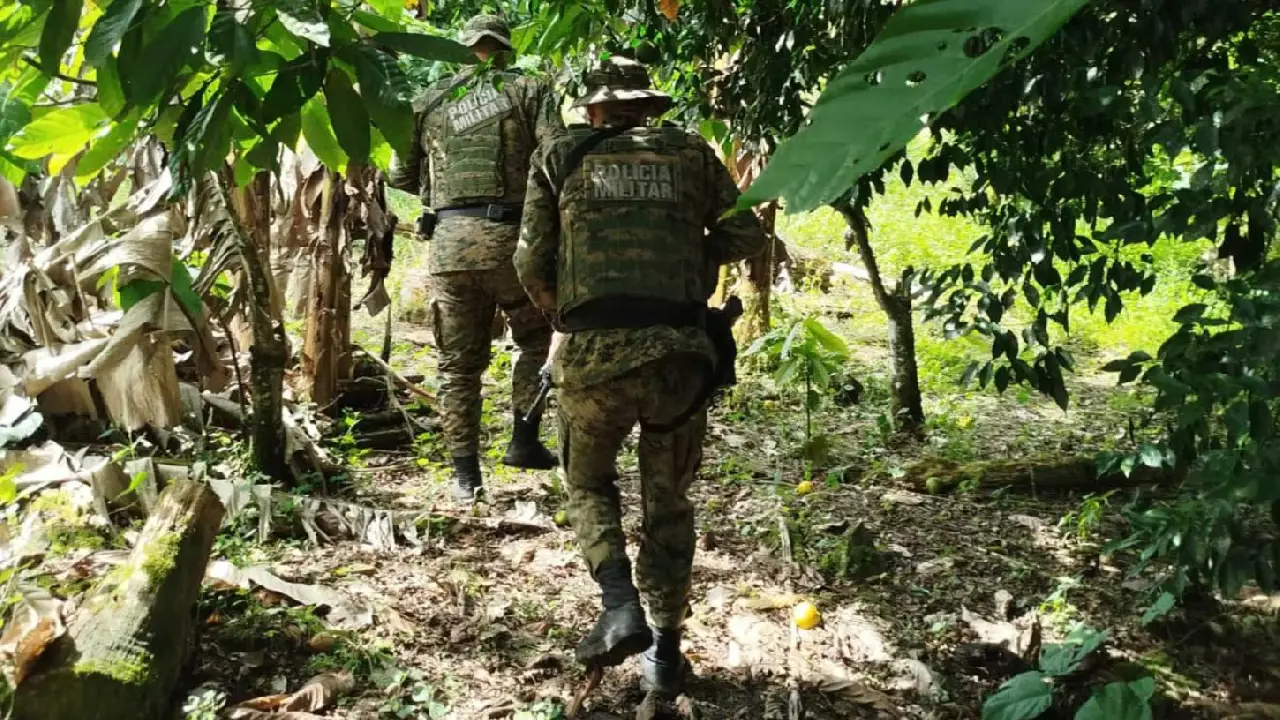 CIPPA apreende animais silvestres e constata desmatamento, no sul da Bahia