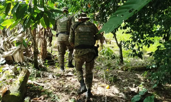 CIPPA apreende animais silvestres e constata desmatamento, no sul da Bahia