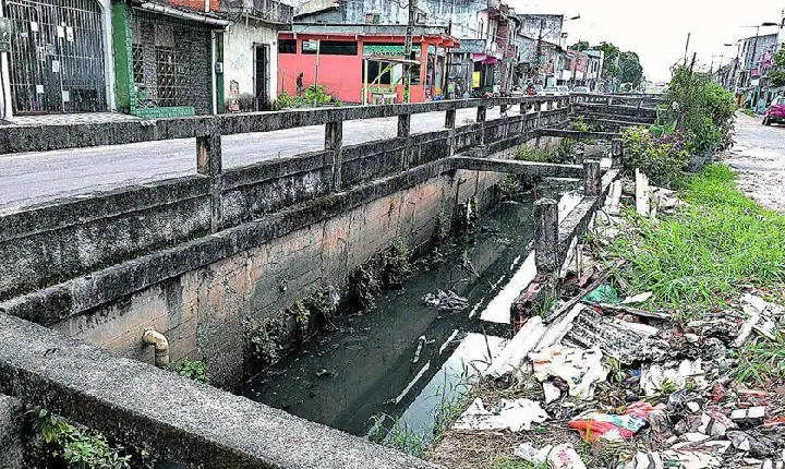 COP30 em Belém: Fiasco Climático e Desafio de Infraestrutura Exposto na Amazônia
