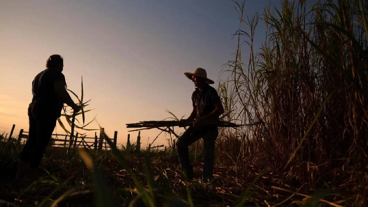 Costa do Descobrimento sob Tensão