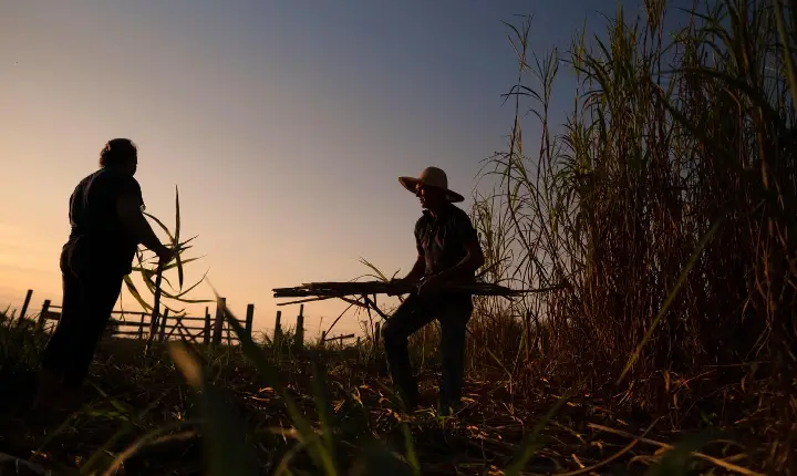 Costa do Descobrimento sob Tensão