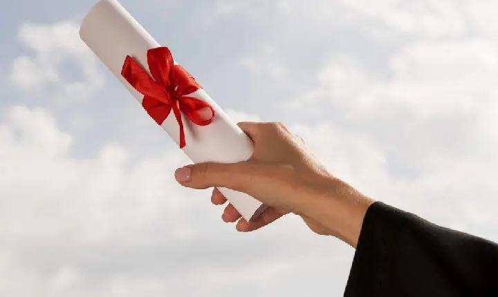 Diplomas no Bolso, Portas Fechadas: o Labirinto do Primeiro Emprego no Brasil