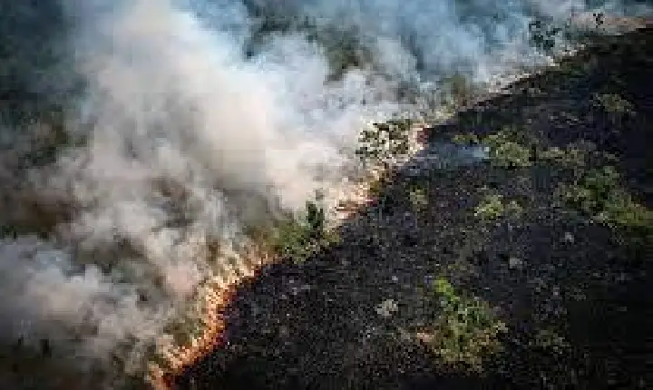 Em 6 meses de Lula, queimadas aumentam na Amazônia e desmatamento cresce no Cerrado