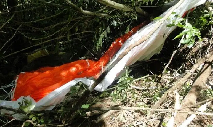 Encontrados destroços do avião da FAB que desapareceu em SC