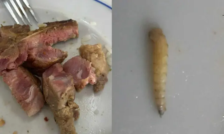 Estudantes encontram larva, cisticerco e carne crua no almoço