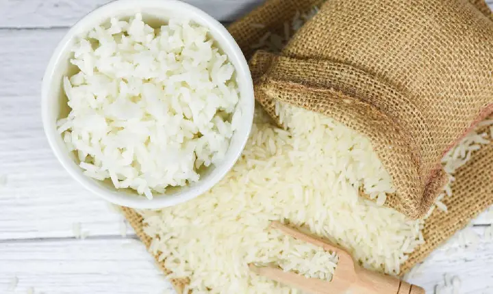 Leilão do arroz: com polêmica, ministro pede saída de diretor da Conab