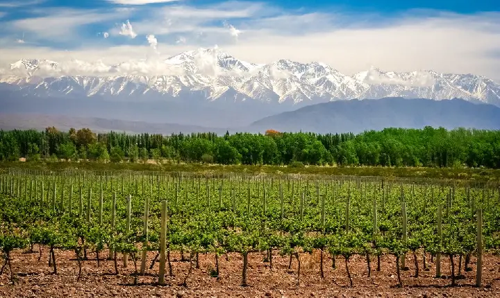 Mendoza: conheça o paraíso do ecoturismo na Argentina