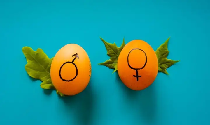 Moraes suspende lei que proíbe linguagem neutra em cidade de MG