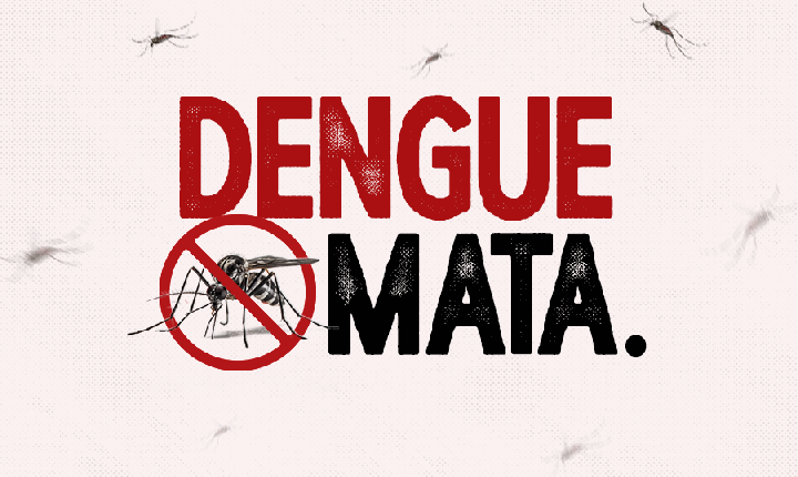 Mortes por dengue já somam 491 e número de casos passa de 1,6 milhão