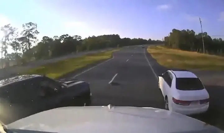 Motorista dá preferência para tartaruga em rodovia e causa acidente nos Estados Unidos