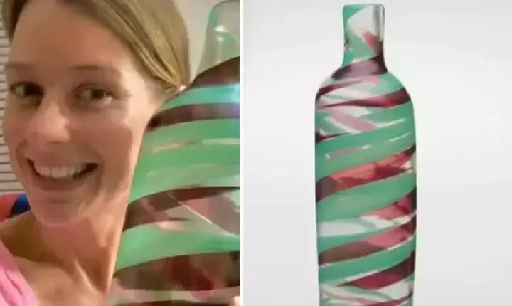 Mulher compra vaso por R$ 19,40 em brechó e depois o vende por R$ 520 mil no leilão