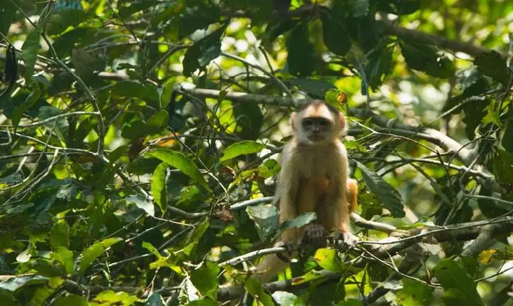 ONU coloca turismo no centro de políticas para proteção do meio ambiente e erradicação da pobreza