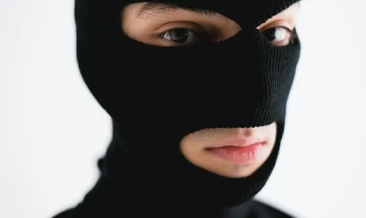 Os Vira-Latas da Política