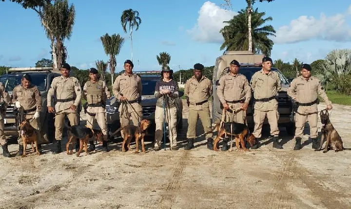 PELOTÃO DE OPERAÇÕES COM CÃES DO 8° BPM INICIA NOVO CICLO DE TREINAMENTOS