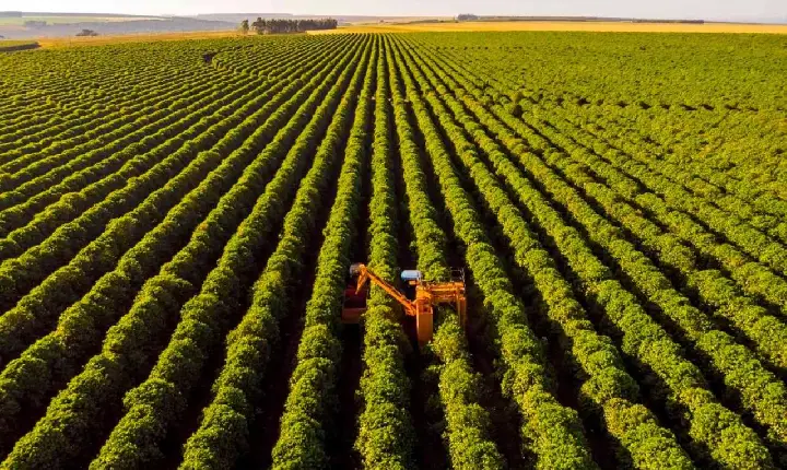 PIB Cresce 1,4%, Mas Mérito é do Agro