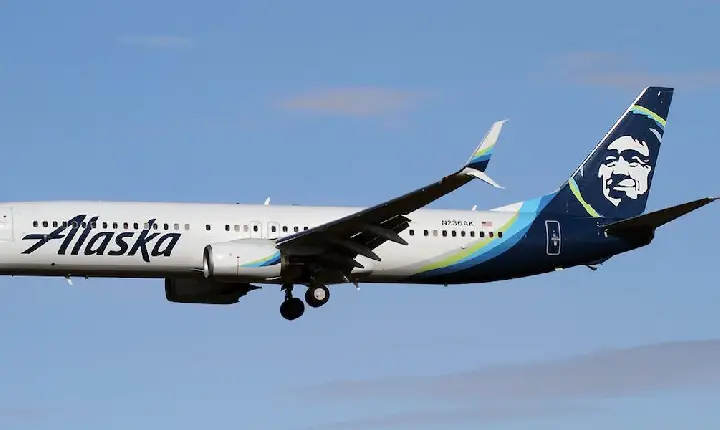 Piloto que desligou motores de avião no ar disse que comeu “cogumelos mágicos”