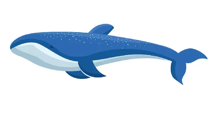 Polícia Federal conclui que Bolsonaro não “importunou” baleia jubarte