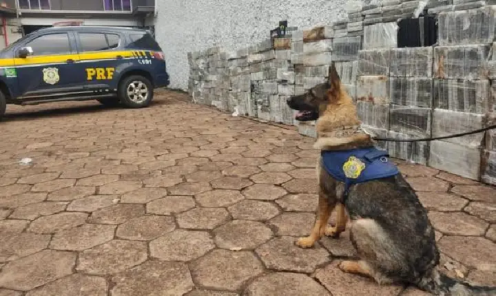 PRF faz a maior apreensão única de cocaína da sua história