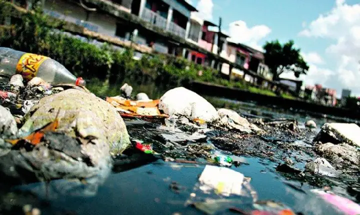 Repercussão no Brasil: Indignação e Polarização