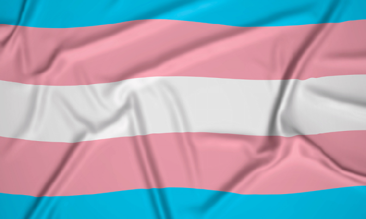 STF nega recurso de mulher trans barrada em banheiro de shopping em Santa Catarina