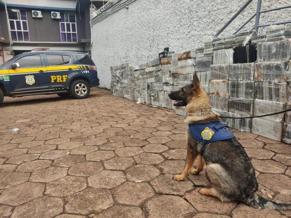 PRF faz a maior apreensão única de cocaína da sua história