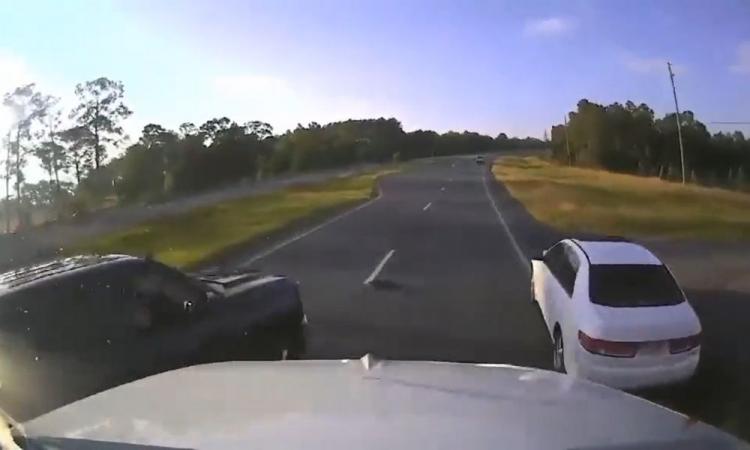 Motorista dá preferência para tartaruga em rodovia e causa acidente nos Estados Unidos