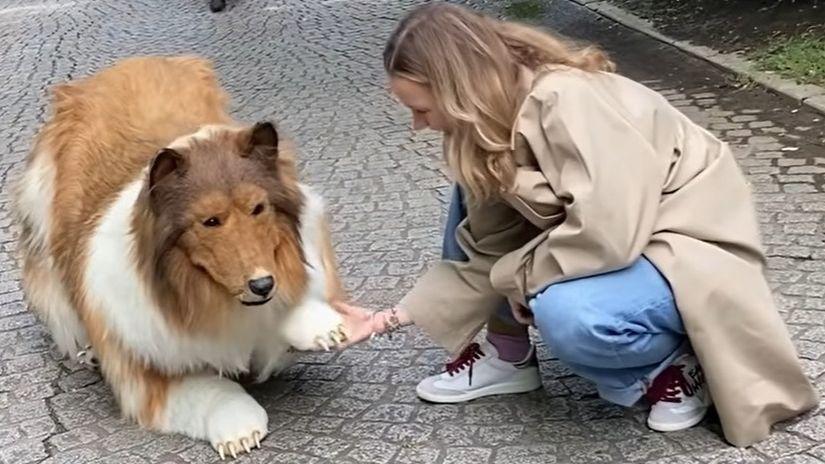 Japonês que gastou R$ 70 mil para se “transformar” em cachorro faz 1º passeio