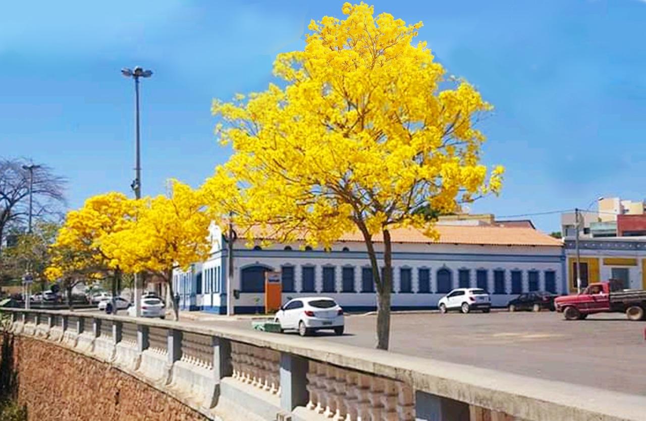BAHIA TEM DUAS CIDADE ENTRE AS 5 MELHORES DO NORDESTE EM SERVIÇOS URBANOS E QUALIDADE DE VIDA
