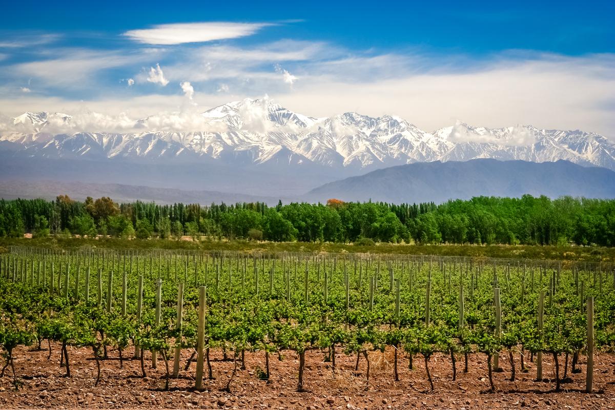 Mendoza: conheça o paraíso do ecoturismo na Argentina