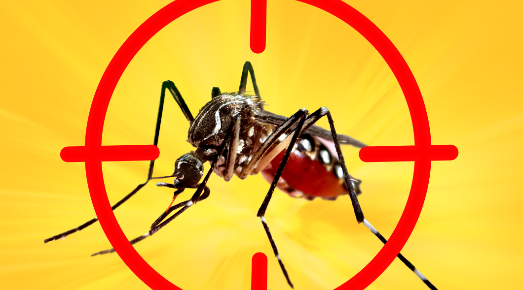 Brasil atinge 1.116 óbitos por dengue em 2024 e bate recorde de mortes pela doença