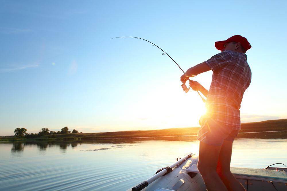 O que é pesca probatória, que Bolsonaro usa contra denúncia do golpe