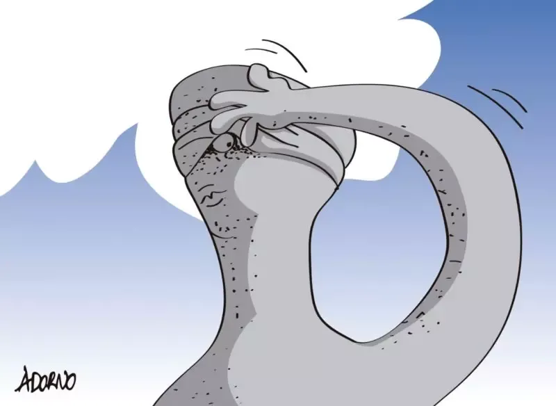 A Justiça Brasileira no Embate Lula x Bolsonaro