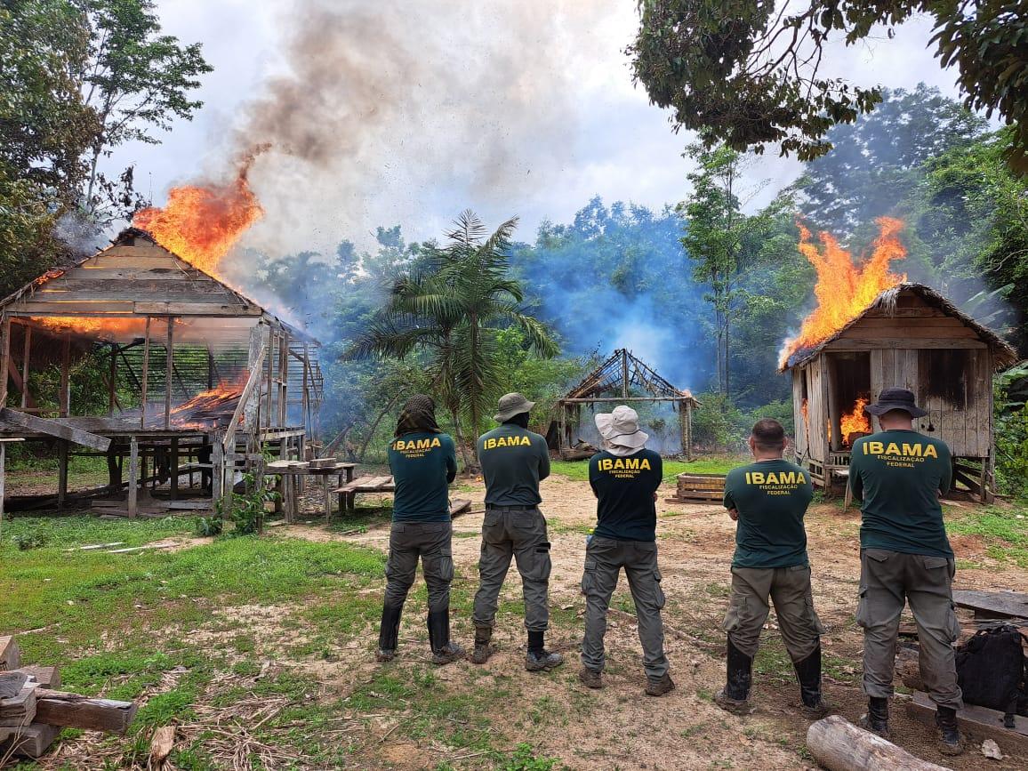 Bahia Sob Tensão: O Avanço das Invasões de Terra no extremo sul