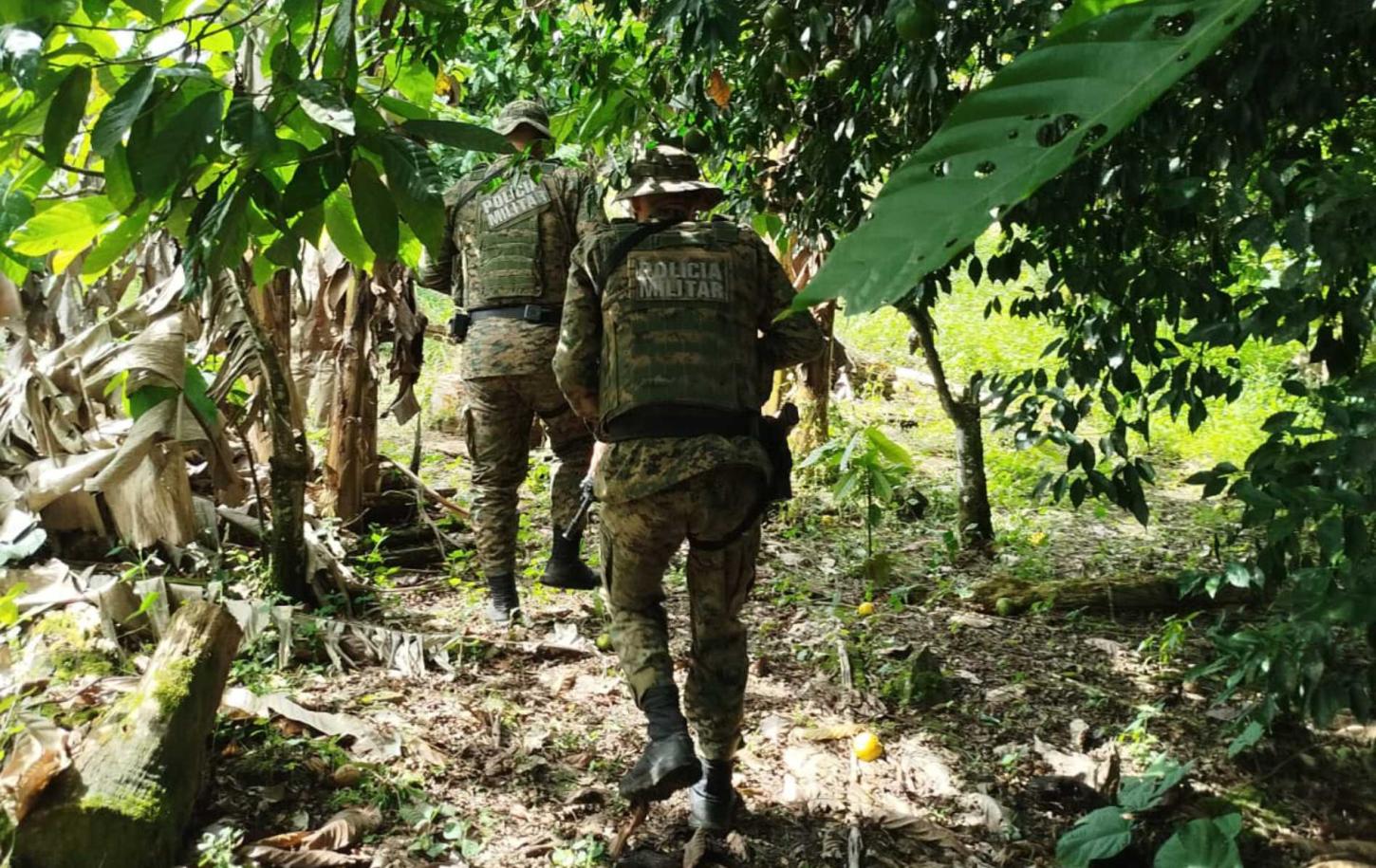 CIPPA apreende animais silvestres e constata desmatamento, no sul da Bahia