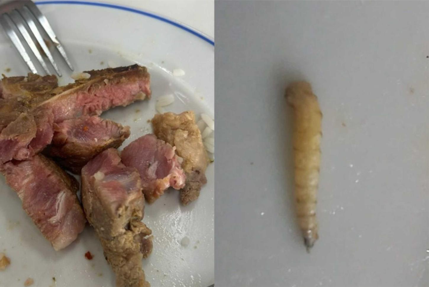 Estudantes encontram larva, cisticerco e carne crua no almoço