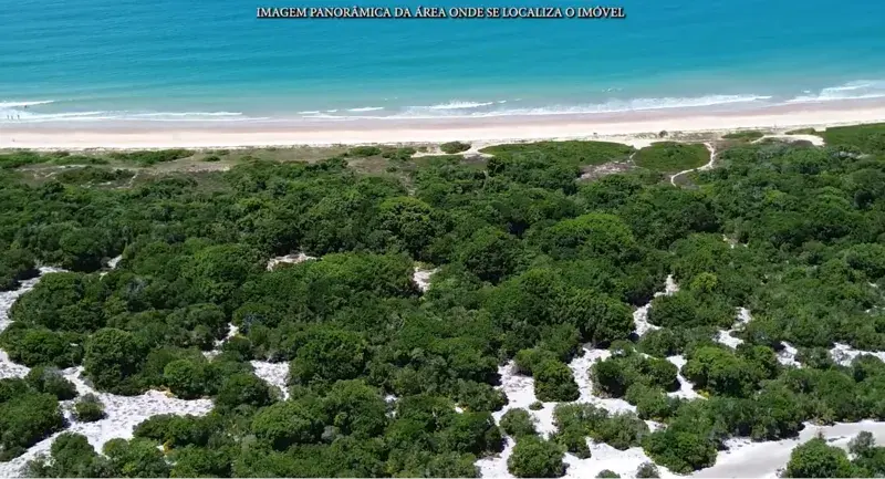 Um dos pedaços da terra que estão brigando.