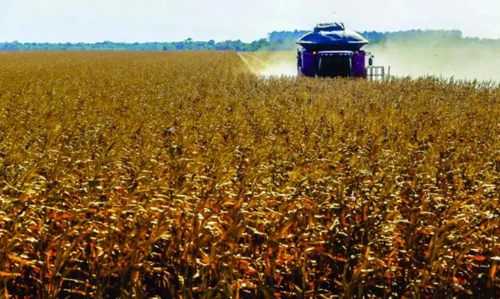 Tarifaço atingirá 36,5% das exportações do agro brasileiro, estima CNA 